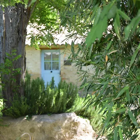 Le Figuier - La Roseraie Du Val'ensoleille Valensole