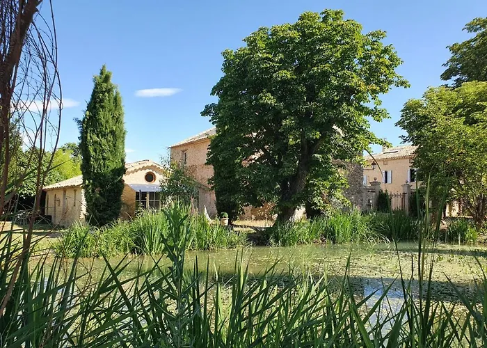 Le Figuier - La Roseraie Du Val'ensoleille
