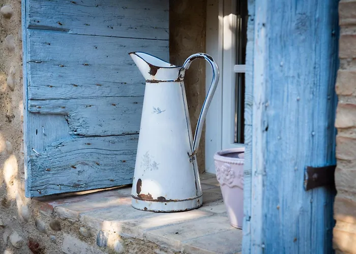 Le Figuier - La Roseraie Du Val'ensoleille * וואלנסול